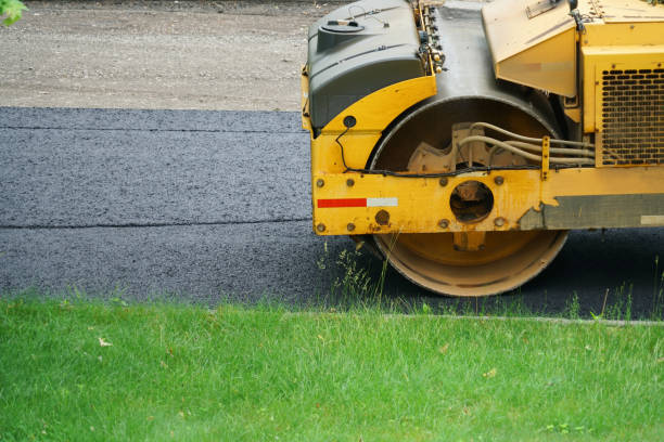 Best Local Driveway Pavers  in Trent Woods, NC